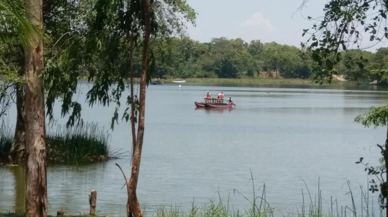 Nature'S Lake View Sigiriya 담불라 외부 사진