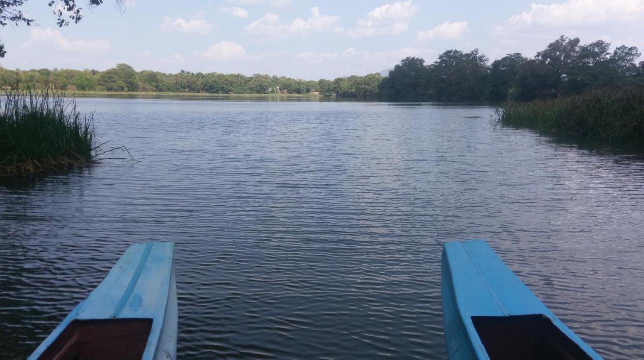 Nature'S Lake View Sigiriya 담불라 외부 사진
